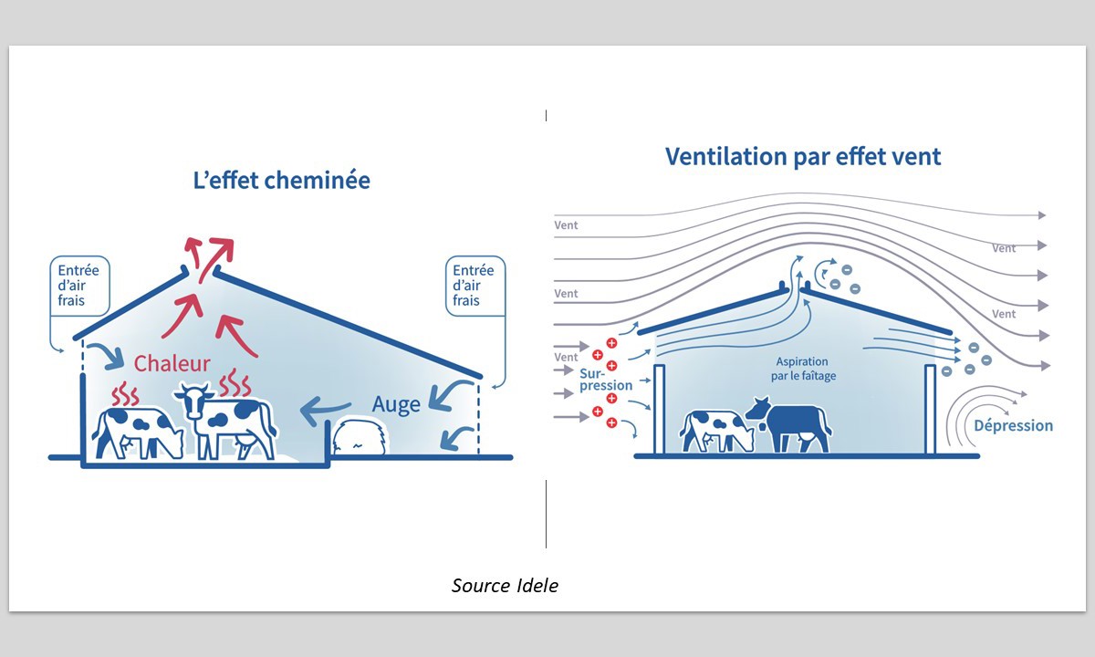 Comment réguler l'humidité dans les bâtiments agricoles ? 