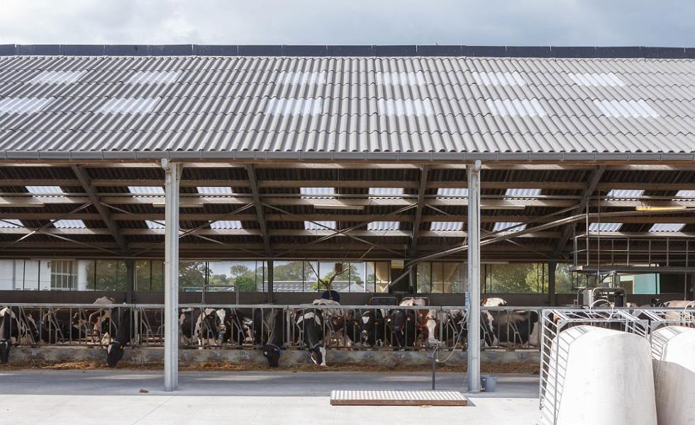 Comment réguler l'humidité dans les bâtiments agricoles ? 