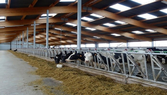 Importance de la lumière naturelle pour les animaux et le rendement agricole 