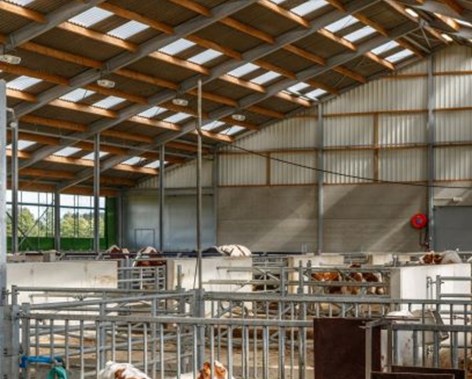 Importance de la lumière naturelle pour les animaux et le rendement agricole 