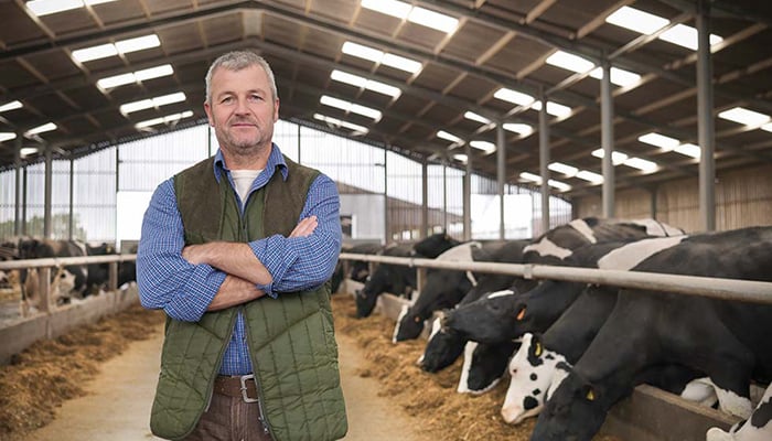 Pourquoi choisir les plaques ondulées en fibres-ciment Eternit pour la toiture de vos bâtiments agricoles ?