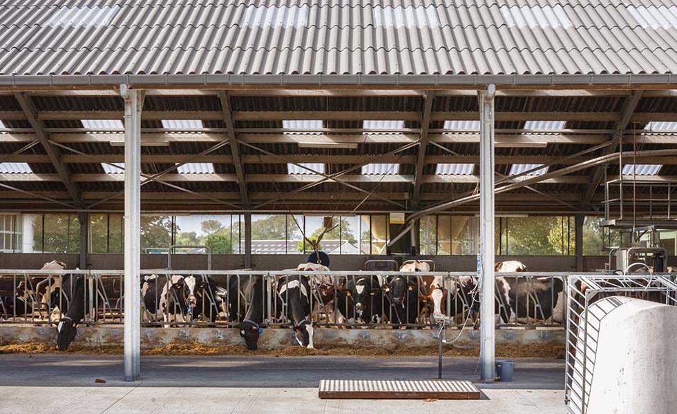 Pourquoi choisir les plaques ondulées en fibres-ciment Eternit pour la toiture de vos bâtiments agricoles ?