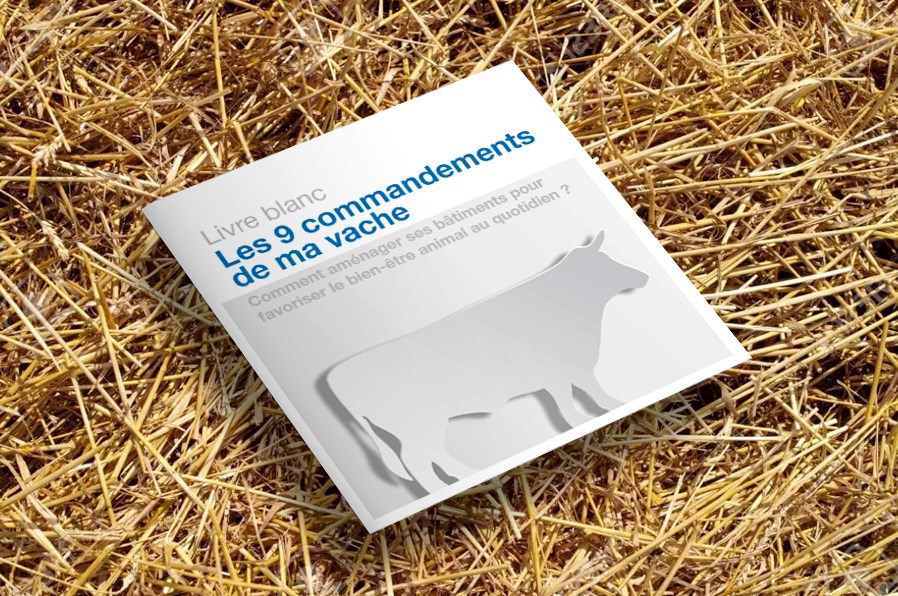 La vache en 9 commandements